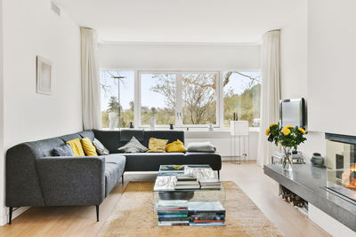 Potted plants on sofa at home