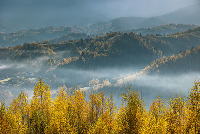 Autumn landscape in transilvania, romania