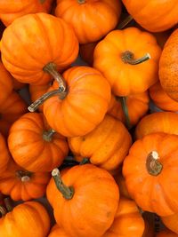 High angle view of pumpkins at market stall