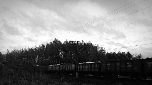 Trees against sky