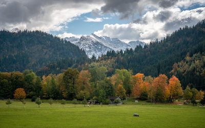 Scenic view of landscape against sky during autumn