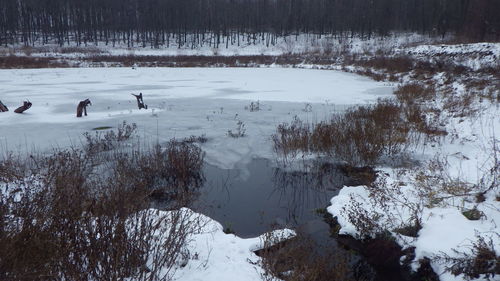 A lake and cold natural landscape with water in winter