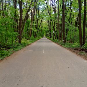 Road amidst trees in forest