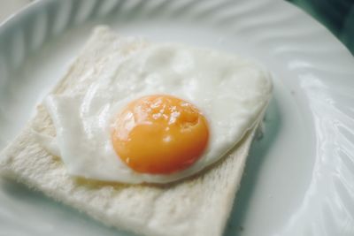 Close-up of egg in plate