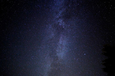 Low angle view of stars in sky