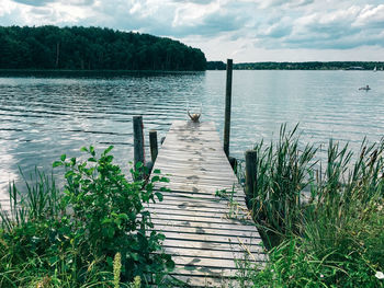 Person at wooden jetty by lake