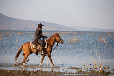 Man riding horse at beach