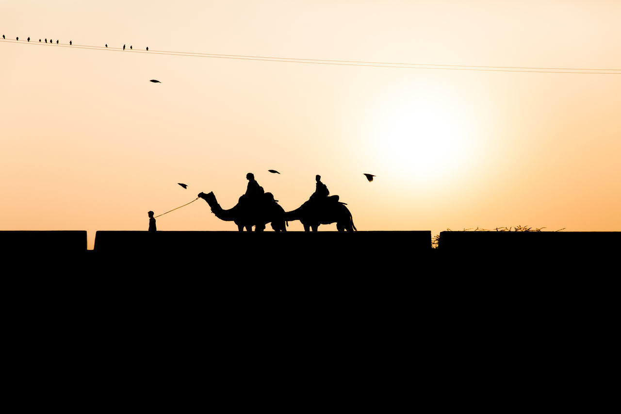 SILHOUETTE PEOPLE RIDING HORSE IN THE SUNSET