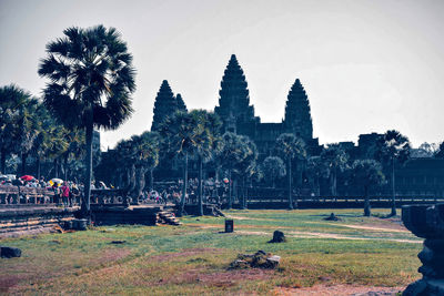 Palm trees in angkor wat, world heritage sites of cambodia