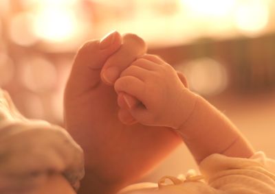 Close-up of hands holding baby
