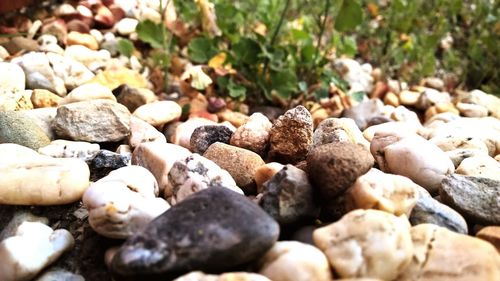 Full frame shot of pebbles