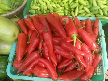 High angle view of red chili peppers in crate at market stall