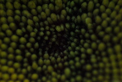 Full frame shot of abstract background