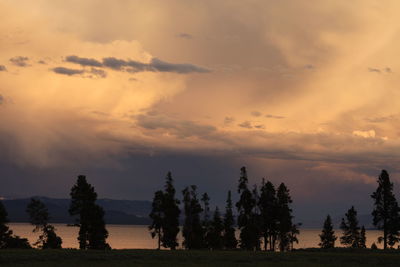 Silhouette trees on landscape against sky at sunset