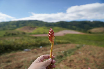 Person holding ice cream cone on field