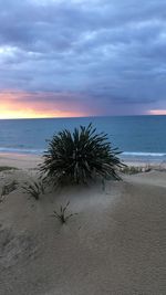 Scenic view of beach against sky during sunset