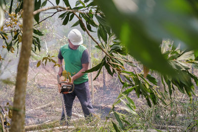 Full length rear view of man working on plants