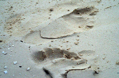 Close-up of footprints on sand