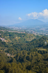 High angle view of trees on landscape against sky