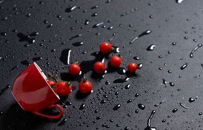 High angle view of fresh cherry tomatoes and red cup on wet table