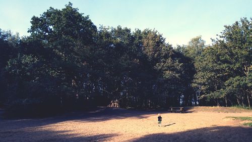 People walking on street amidst trees against sky