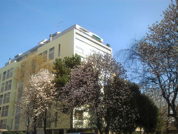 Low angle view of building against blue sky