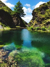 Scenic view of lake in forest against sky