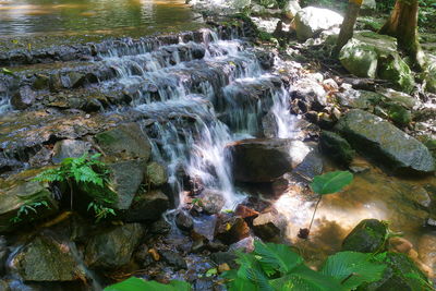 Scenic view of waterfall in forest