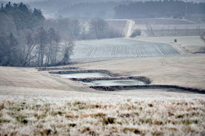 Scenic view of landscape