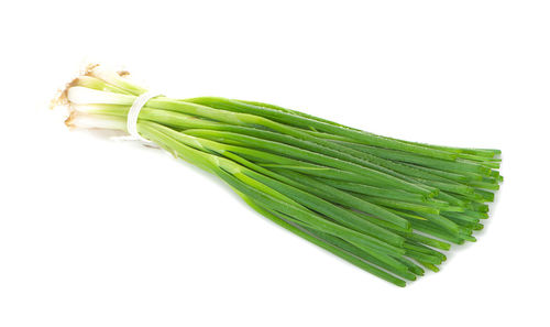 Close-up of leaf over white background