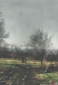 Bare trees on landscape against sky