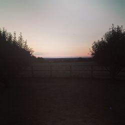 Silhouette trees on field against clear sky