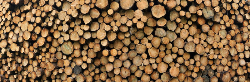 Panoramic shot of wooden logs