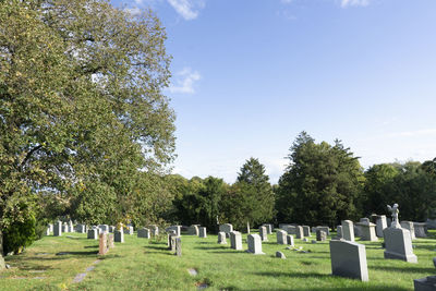 Trees growing in cemetery against sky
