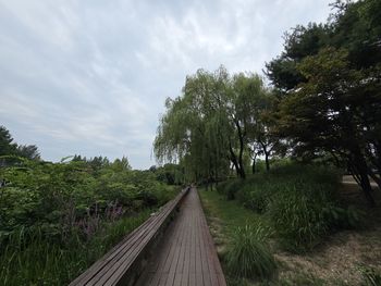 View of bridge against sky