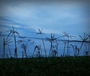 Scenic view of field against cloudy sky