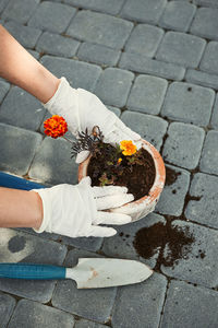 Cropped hands with flower pot on footpath