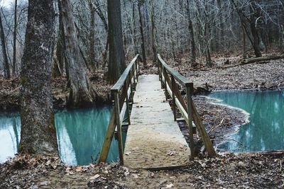 Wooden bridge in forest