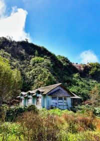 Houses by trees against sky