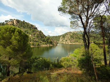 Scenic view of lake in forest against sky