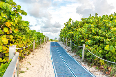 Panoramic shot of railroad track amidst trees against sky