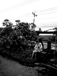People sitting by tree against sky