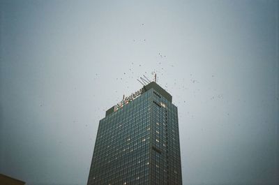 Low angle view of birds flying by building against sky