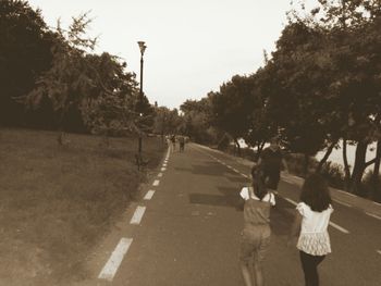 View of trees in park