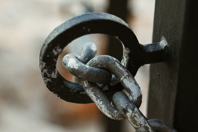Close-up of metal chain