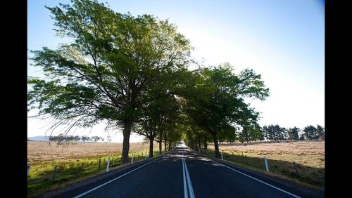 Empty road passing through field