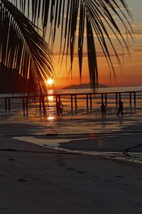 Silhouette palm trees on beach against sky during sunset