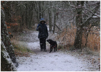 Woman walking with dog in forest during snowfall