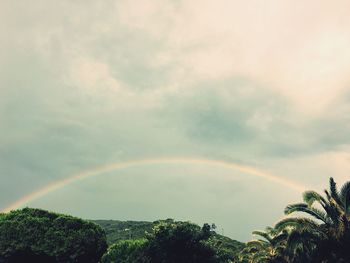 Rainbow over trees against sky