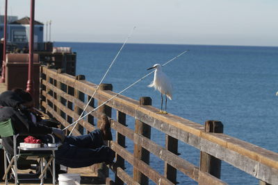 Low angle view of fishing net on sea against clear sky